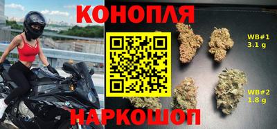 СК Дубна