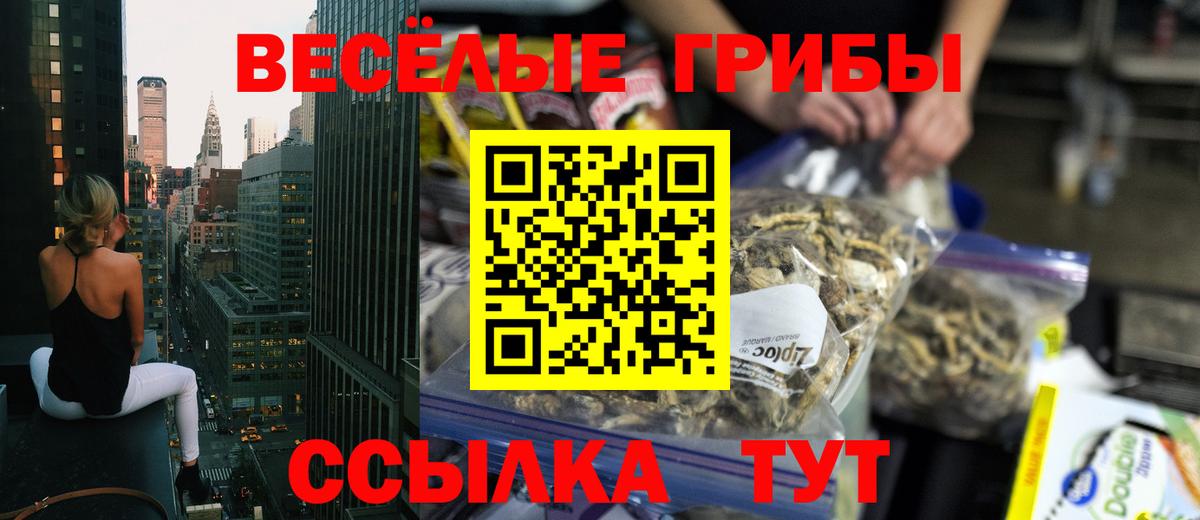 Псилоцибиновые грибы Magic Shrooms  Вход с VPN  Искитим 